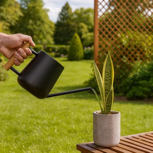 Black Stainless Steel Watering Can for Indoor Plants, Decorative Metal Watering Can with Wooden Handle and Long Spout, Small Water Can for Bonsai, Succulents, Home and Office Use - Image 5