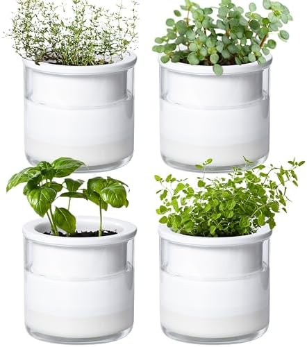 Phoenix Vine 4 Inch Self Watering Planter Pot, Design White Terracotta Pots for Plants, Indoor Cylinder Terra Cotta Pots with Glass Vase, Set of 4, 51-B-E-4 by Phoenix+Vine