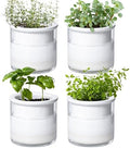 Phoenix Vine 4 Inch Self Watering Planter Pot, Design White Terracotta Pots for Plants, Indoor Cylinder Terra Cotta Pots with Glass Vase, Set of 4, 51-B-E-4 by Phoenix+Vine