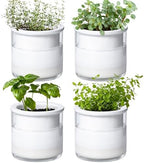 Phoenix Vine 4 Inch Self Watering Planter Pot, Design White Terracotta Pots for Plants, Indoor Cylinder Terra Cotta Pots with Glass Vase, Set of 4, 51-B-E-4 by Phoenix+Vine