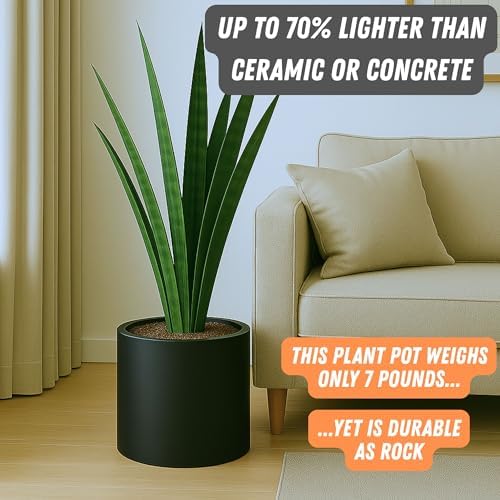 Fox & Fern Large Planter for Indoor or Outdoor, Black Matte, 12 Inch - Image 3