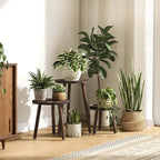 3-Pack Taller Plant Stand Indoor, Single Wood Plant Stool for 6-12 Inch Pot - Image 2