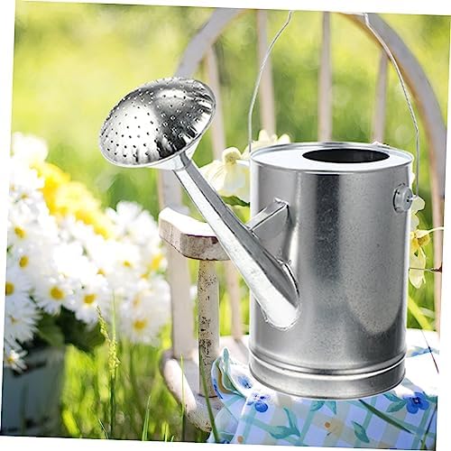 VICASKY Indoor Watering Can Long Spout Garden Outdoor Pots Galvanized Plant Self Potted Mister Sprinkler Water Can Drip Vintage Irrigation Useful Watering Can Stainless Steel Silver - Image 6