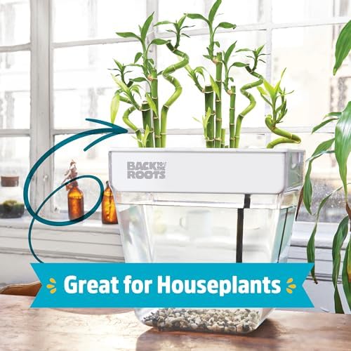Back to the Roots Indoor Aquaponic Garden - 3 Gallon Self Watering, Mess-Free Planter and Self-Cleaning Fishtank for Herbs, Microgreens, Bamboo, Succulents, and Houseplants, support Fish - Image 3