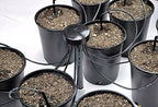 One Stop Outdoor USA Made - (Qty. 100) 6 inches Angled Drip Emitter Stakes for Irrigation, Greenhouse, Garden, and Hydroponics Growing - for 1/8inches Tubing - Image 2