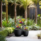 Kante Set of 3 Black Concrete Bowl Planters 18" 14" 18" Dia - Image 7