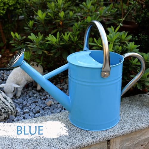 Metal Watering Can, 1 Gallon for Outdoor Garden Plants, Blue - Image 2