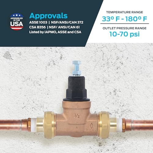 Cash Acme EB45 Pressure Regulating Valve, Double Union, 1/2 Inch NPT Female, Poly Top, 60 PSI, PVA08P-DUTH-60 - Image 4