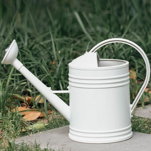 Long Spout Watering Can,2L/4L Capacity Watering Can for Plant Can for Indoor Outdoor Gardening with Ergonomic Handle - Image 2