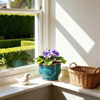 Self Watering Pot for African Violets Indoor Outdoor Plants, 6 inch, Teal - Image 6