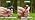 HIRALIY 100FT Automatic Drip Irrigation Kit with Timer - Image 7