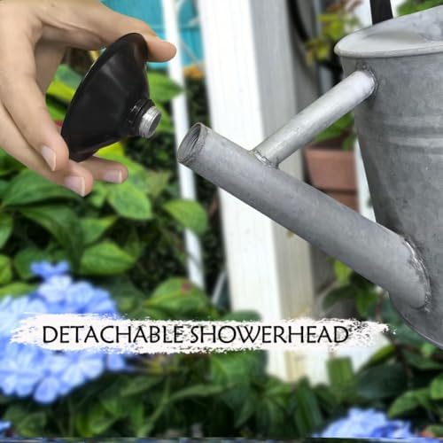 Metal Watering Can, 1 Gallon for Outdoor Garden Plants,SilverB - Image 3