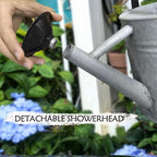 Metal Watering Can, 1 Gallon for Outdoor Garden Plants,SilverB - Image 3