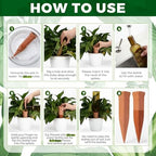 12 Pcs 17oz 25oz 34oz Plant Watering Devices 6 Terracotta Self Watering Spikes 6 Plastic Bottles Slow Release Vacation Planter Insert Automatic Water System for Indoor Outdoor Potted Plant - Image 3