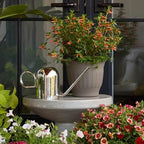 Bloem Crane 1.5L Watering Can, Silver Powder Coated with Novelty Handle and Long Sleek Spout - Image 7