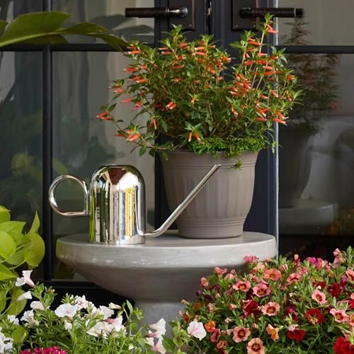 Bloem Crane 1.5L Watering Can, Silver Powder Coated with Novelty Handle and Long Sleek Spout - Image 7