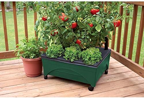 Emsco Group 2341-1HD City Picker Raised Bed Self Watering and Improved Aeration – Mobile Unit with Casters-Hunter Green Grow Box and Seed Starter - Image 2