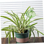 Happyyami 4pcs Cactus Shape Glass Watering Globe for Potted Plants - Image 3
