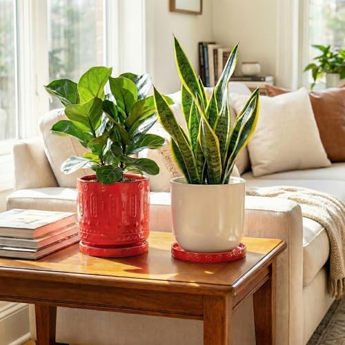 Eightpot 2 Pack Plant Plates to Catch Water, Plant Trays for Pots Indoor Outdoors, 7.5 Inch Plants Water Catcher Tray, Round Flower Pot Saucers, Modern Decorative Dishes to Catch Water, Red - Image 4
