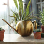 FLEXMAN 1000ml Stainless Steel Watering Can with Long Spout, Long Spout Modern Style Watering Pot, Small Watering Can for Outdoor Indoor Plants (Gold) by flexman