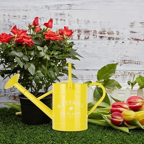 Garutom Galvanized Watering Can for Outdoor Indoor Plants, 1 Gallon Decorative Countryside Water Can with Removable Spout, Metal Watering Can for Indoor Plants and Garden Flower (Yellow) - Image 4