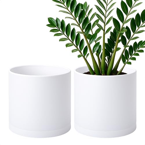 D'vine Dev 2-Pack White Plastic Planters with Saucers, 10 in, 74-Z-N-1 by DvineDevPlanterPotsandStand