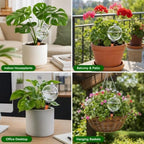 MGMSBV 4 Pack 17 oz Self Watering Globes, Thick-Wall Durable, Clear - Image 5