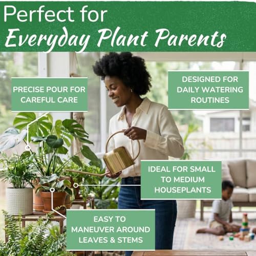 Stainless Steel Houseplant Watering Can, Brushed Silver, 1L Capacity - Image 6
