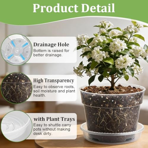 RooTrimmer 15 Pack 8/7/6 Inch Clear Nursery Pots with Saucer, Transparent Plastic Plant Pot with Drainage Hole, Sturdy Planting Starter Pots for Gardening Flower Herb Vegetable - Image 3