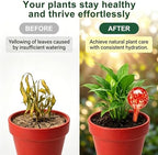 8Pcs Glass Plant Watering Globes,Self Watering Globes,Water Bulbs - Image 4