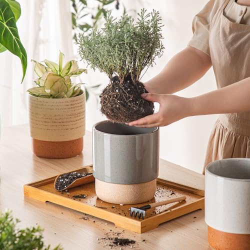 6 Inch Ceramic Self Watering Planter with Drainage Hole, Dark Grey - Image 5