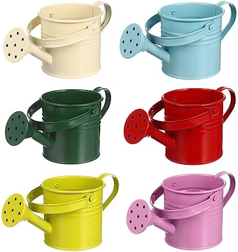 6PCS Kids Metal Watering Can Indoor Plants Small Watering Can for Indoor Plants Mini Gardening Tool Tiny Kettle for Gardening by DOITOOL