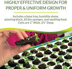 Park Seed Bio Dome Seed Starter Kit with 60 Cell Planting Block, Base Tray, Humidity Dome & 60 Bio Sponges - Image 3