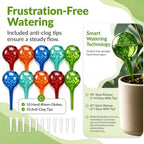 Plant Watering Globes 10 Pack– Self Watering Bulbs, Indoor & Outdoor Plants - Image 3