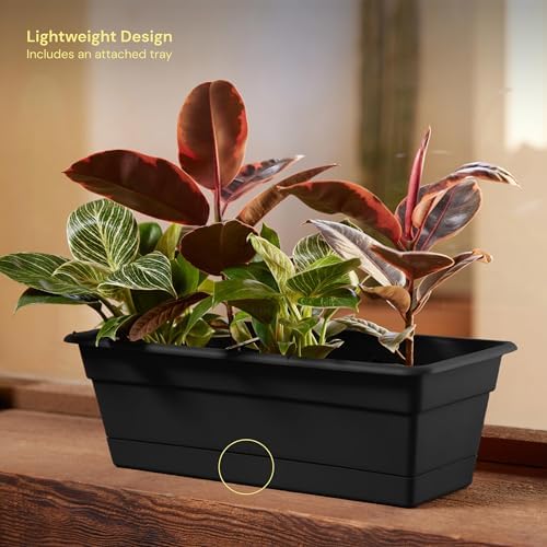 Bloem Dura Cotta 18" Plastic Window Box Planter with Saucer, Black, 3-Pack - Image 4