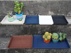 VUWEZ Plant Growing Trays 6 Pack, Plant Tray, 14.5"x11", Heavy Sturdy Plastic Plants Saucer, Seedling Starter Trays, Seed Starter Growing Tray (Black) - Image 4