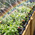 Plants Misting System for Irrigation with Adjustable Knob by Unknown