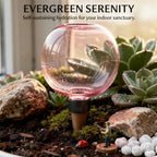 4 Pcs Self Watering Globes for Indoor Plants, 16.9 fl oz Pink Ceramic Plant Waterer, Bubble Shaped Houseplant Irrigation System, 6.69 x 3.93 in for Potted Succulents, Flowering Plants - Image 6