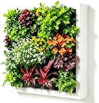 Wall-Mounted Planters Indoor, Living Wall Planter with 4 Pots - Vertical Planter Wall & Hanging Planter for Home, Office, Balcony or Shop No Assembly Required (White) by Unknown