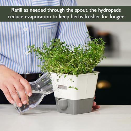 Cole & Mason Self-Watering Single Potted Herb Keeper, Indoor Herb Box, 21 cm, White/Grey, Self Watering, Includes 4 x Pads - Image 6