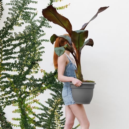 Bloem Ariana 12" Plastic Self-Watering Planter, Charcoal, 2-Pack - Image 2