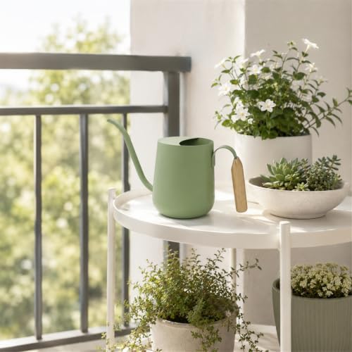 Plant Watering Can, Metal Small Indoor Watering Can with Long Spout & Real Wood Handle for House-Plants, Succulents, Cacti & Seedlings, Small Bonsai Outdoor Garden Modern Decorative - Image 3