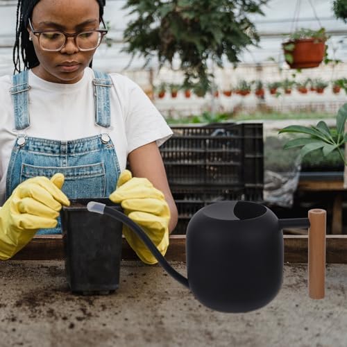 Stainless Steel Watering Can Black 1.2l with Long Spout - Image 5