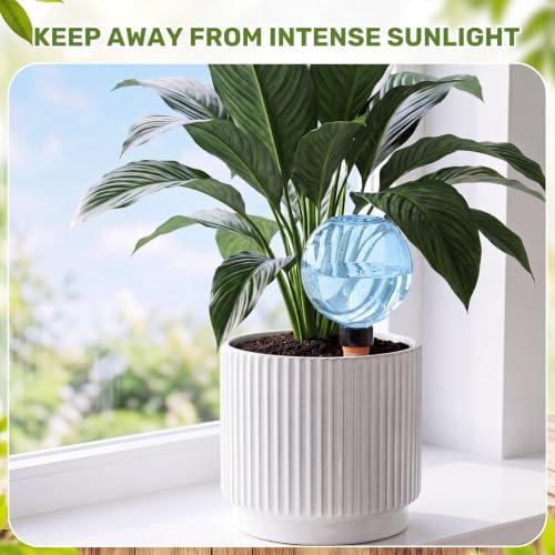 8 Pcs 17 oz Plant Watering Globes with Terracotta Self Watering Planter Insert Plastic Clear Self Water Bulbs for Indoor Outdoor Automatic Drip Irrigation Water Devices (Blue) - Image 4