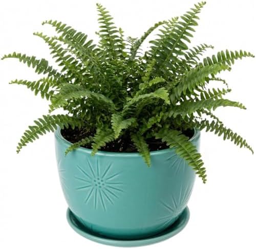 MyGift 7-Inch Turquoise Ceramic Planter Pot with Drainage Hole & Saucer by MyGiftHome