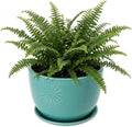 MyGift 7-Inch Turquoise Ceramic Planter Pot with Drainage Hole & Saucer by MyGiftHome