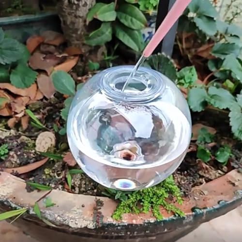 500ML Plant Watering Globes Automatic Self Watering Planter, Plant Watering Devices System Water Plants While Away (8Pcs) - Image 5