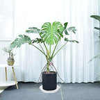 4 Pack of 14 inch Plant Saucers, Plant Saucer 14" Round, Plastic Plant Tray for Flower Pots, White Planters for Indoor Plants, Plant Trays for Planter 12-15" (14", Creamy White) - Image 2