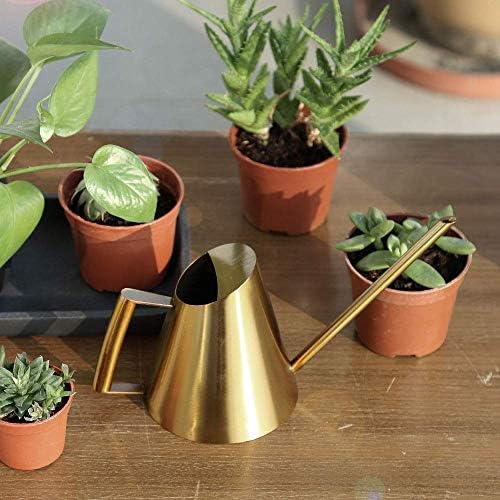 Watering Can Stainless Steel Long Spout 900ml Indoor Use - Image 4