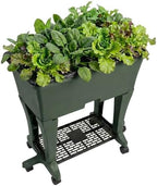 EarthBox Raised Garden Bed with Legs – Elevated Self Watering Planter Box with Wheels, Storage Shelf, Premium Plant Food, Easy Assembly, Made in USA, Dark Green by EarthBox